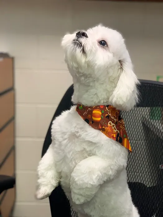 Animal Care Clinic Picture 8