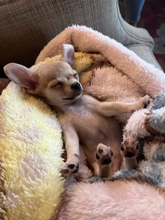 Animal Care Clinic Picture 7