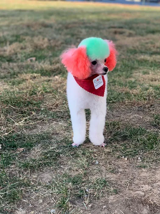 Animal Care Clinic Picture 9