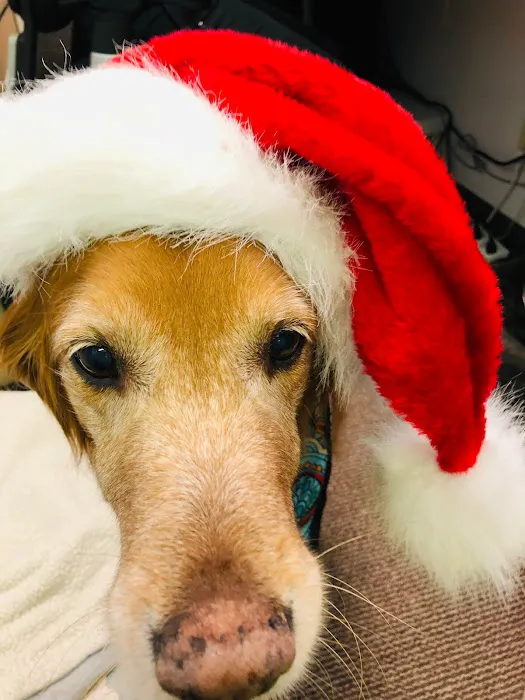 Animal Care Clinic Picture 10