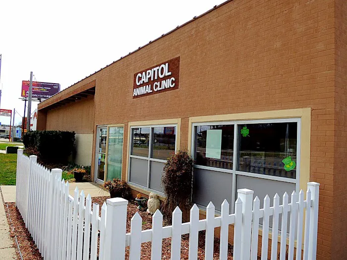 Capitol Animal Clinic PC Picture 1