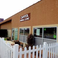 Capitol Animal Clinic PC ico