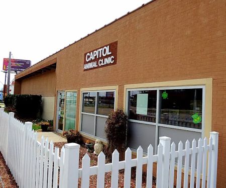 Capitol Animal Clinic PC