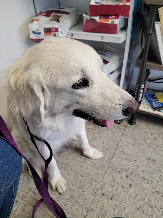 Capitol Animal Clinic PC Picture 2