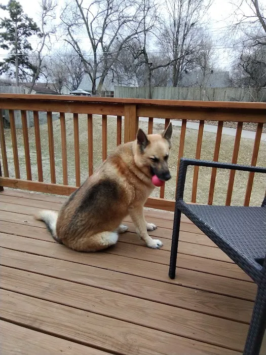 Capitol Animal Clinic PC Picture 6