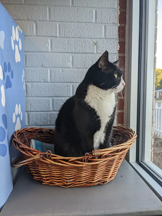 Capitol Animal Clinic PC Picture 8