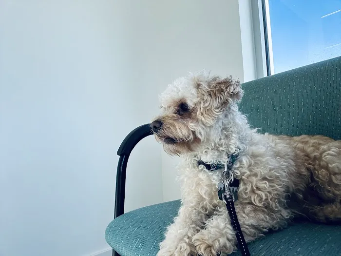 Clock Tower Animal Clinic Picture 3