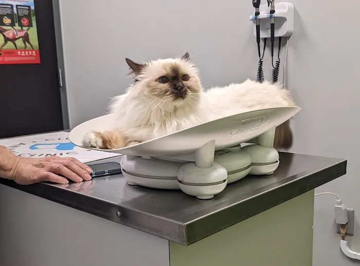 Clock Tower Animal Clinic Picture 6