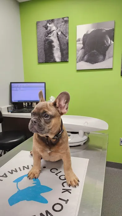 Clock Tower Animal Clinic Picture 7