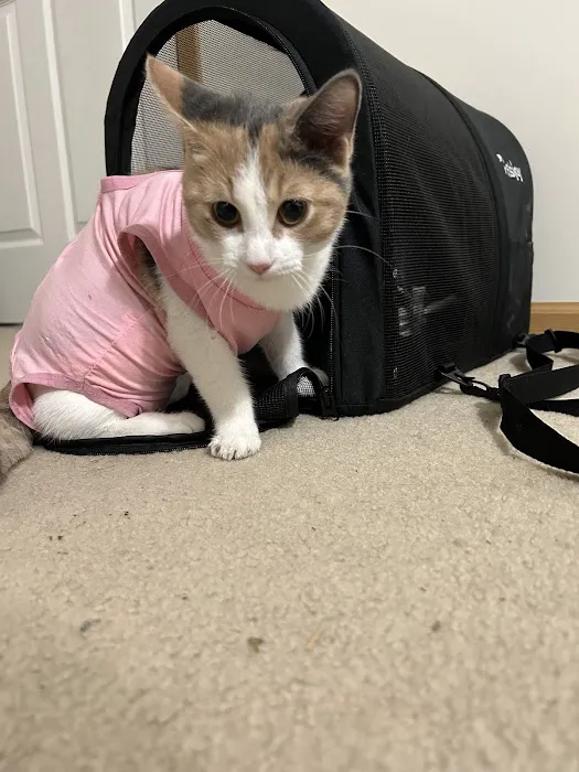 Stransky Veterinary Center Picture 2