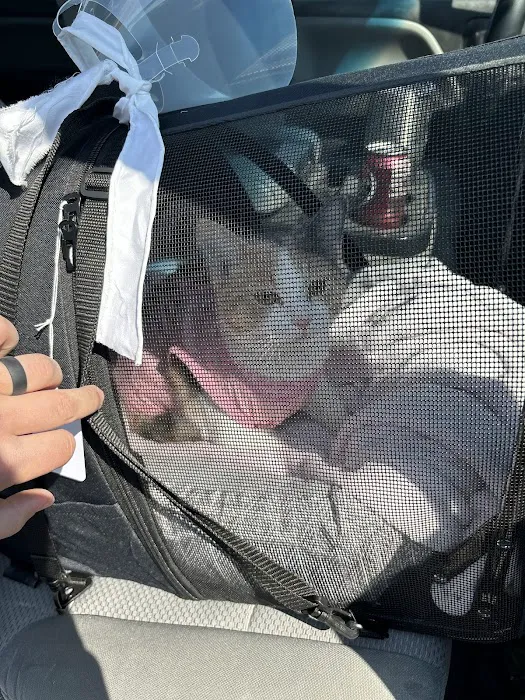 Stransky Veterinary Center Picture 1