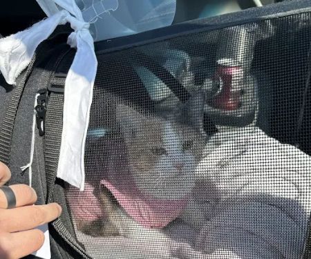 Stransky Veterinary Center