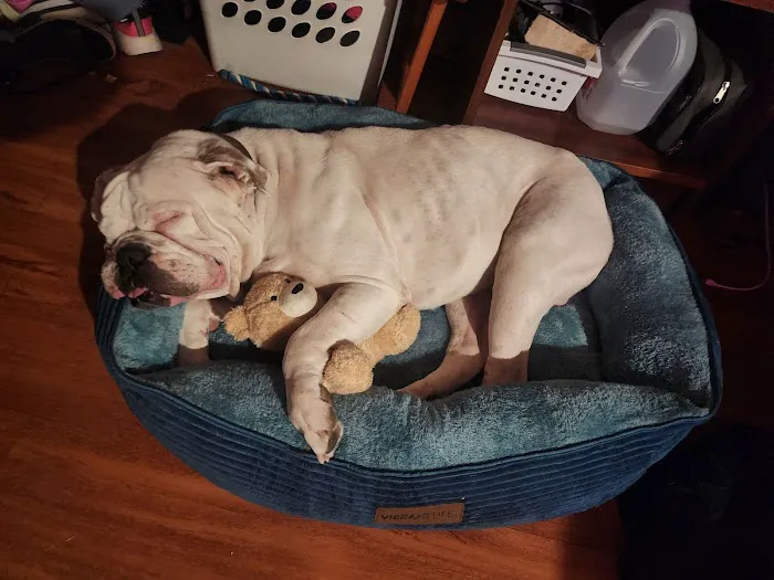 Stransky Veterinary Center Picture 3