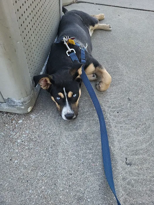 Stransky Veterinary Center Picture 5