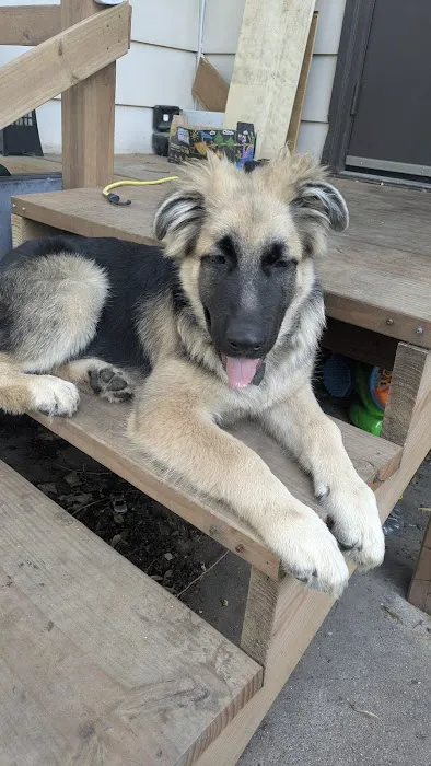 Stransky Veterinary Center Picture 6