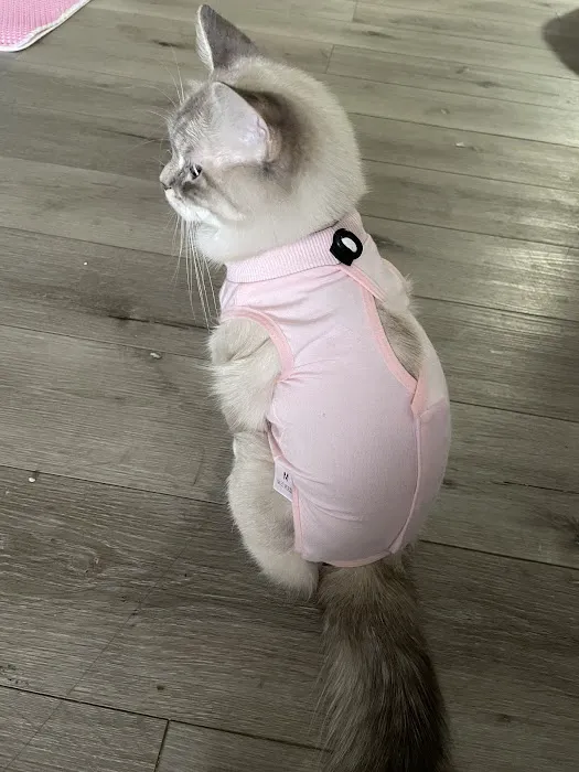 Stransky Veterinary Center Picture 7