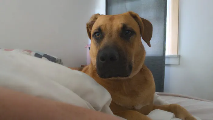 Stransky Veterinary Center Picture 8