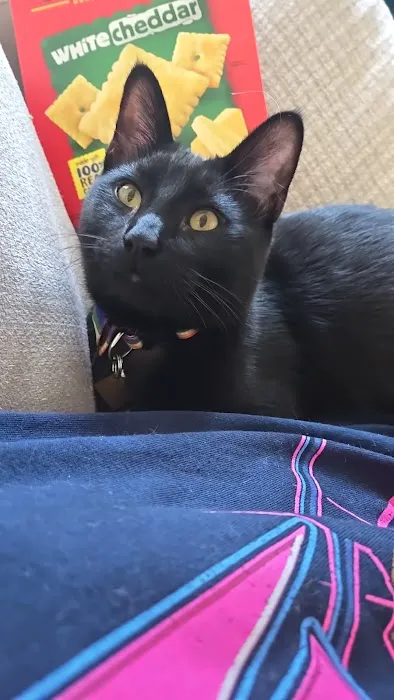 Stransky Veterinary Center Picture 9