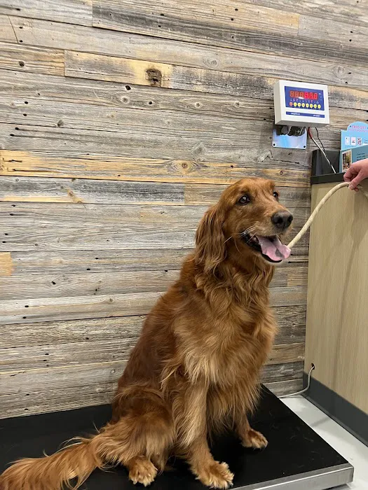 Vetco Total Care Animal Hospital Picture 2