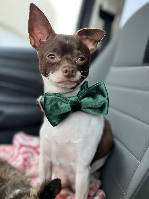 Vetco Total Care Animal Hospital Picture 3