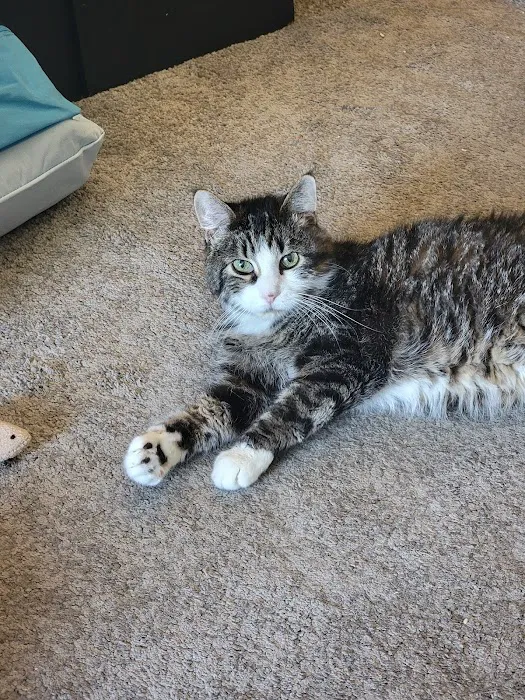 Vetco Total Care Animal Hospital Picture 5