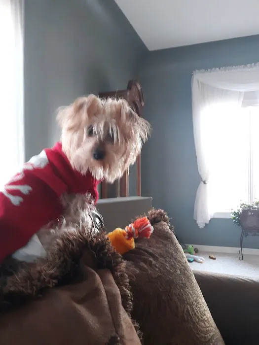 Smith Rebecca S DVM Picture 1