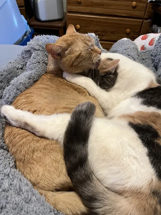 Wisner Countryside Vet Clinic Picture 2