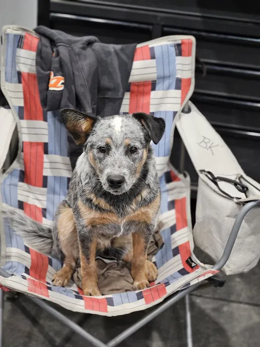 Wisner Countryside Vet Clinic Picture 1