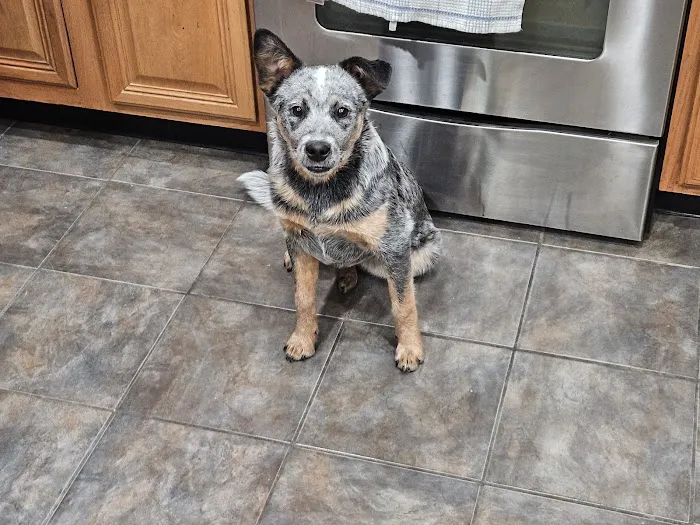 Wisner Countryside Vet Clinic Picture 3