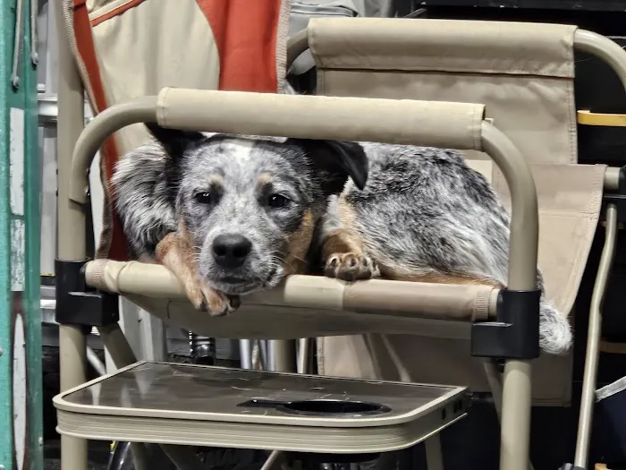 Wisner Countryside Vet Clinic Picture 5