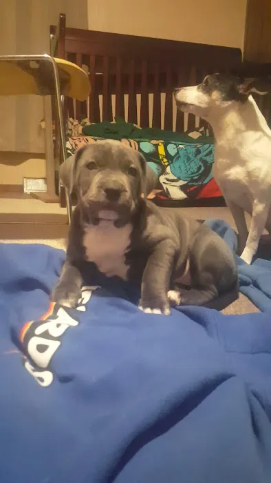 Wisner Countryside Vet Clinic Picture 4