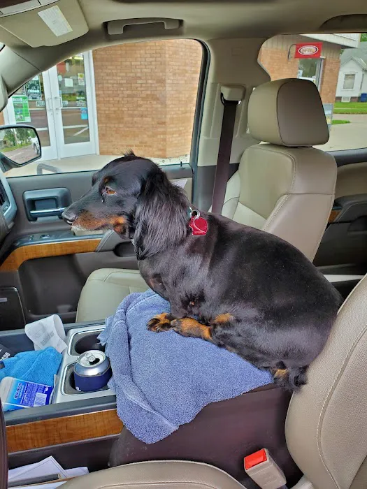 Nebraska Veterinary Services Picture 3