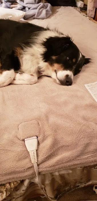 Nebraska Veterinary Services Picture 5