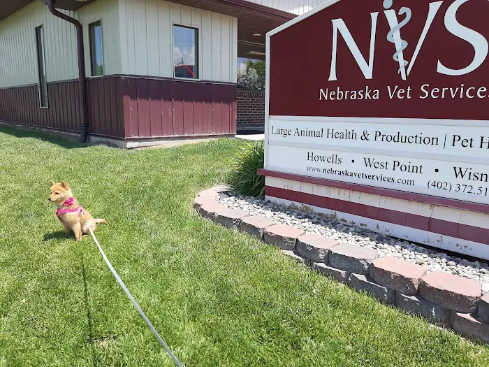 Nebraska Veterinary Services Picture 6