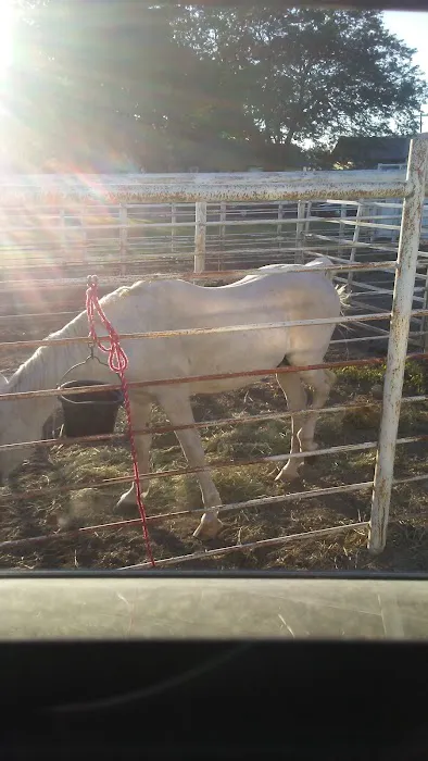 Laurel Veterinary Clinic Picture 1