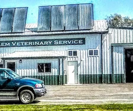 Salem Veterinary Service