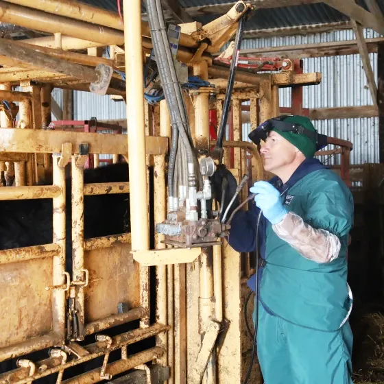 Salem Veterinary Service Picture 3