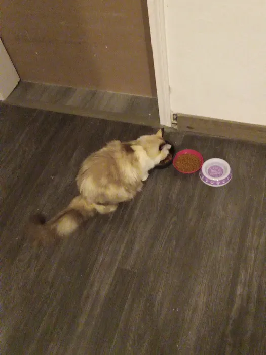 Brookings Animal Clinic Picture 4