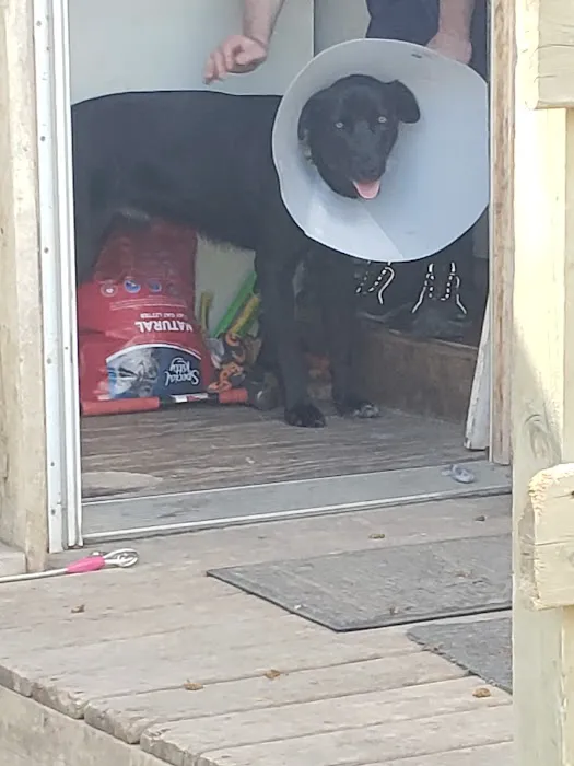 Brookings Animal Clinic Picture 1