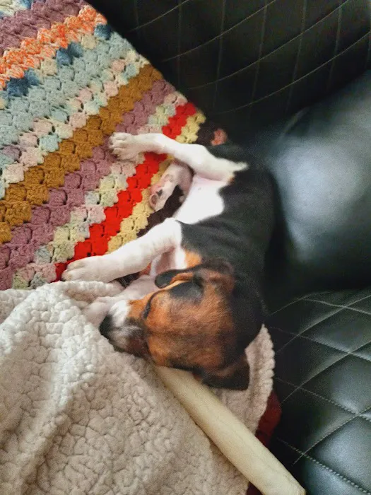 Brookings Animal Clinic Picture 6