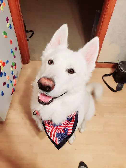 Town & Country Veterinary Clinic PC Tecumseh Branch Picture 1