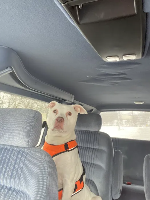 Tecumseh Animal Clinic Picture 3