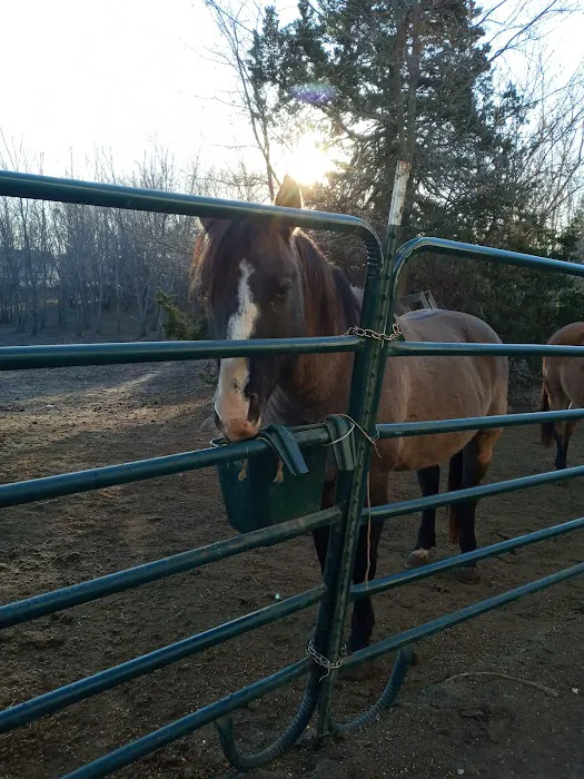 Tecumseh Animal Clinic Picture 5