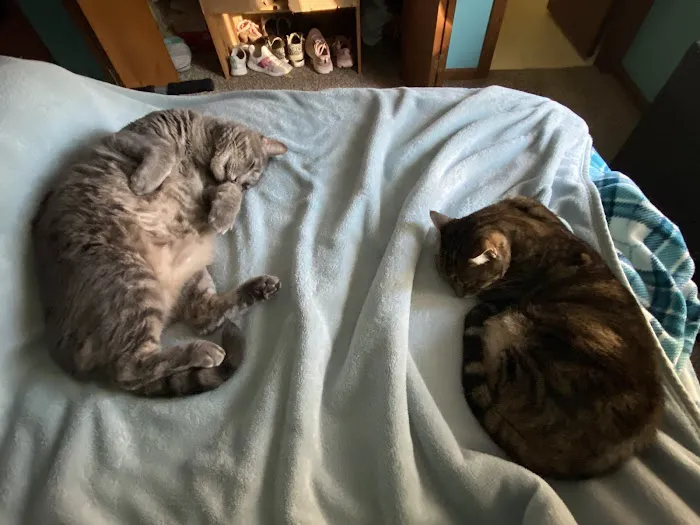 Dr. James Himmelberg, DVM Picture 1