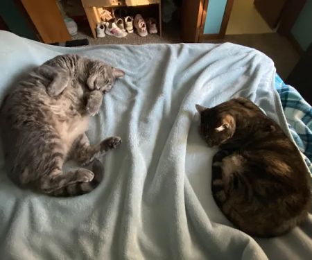 Dr. James Himmelberg, DVM