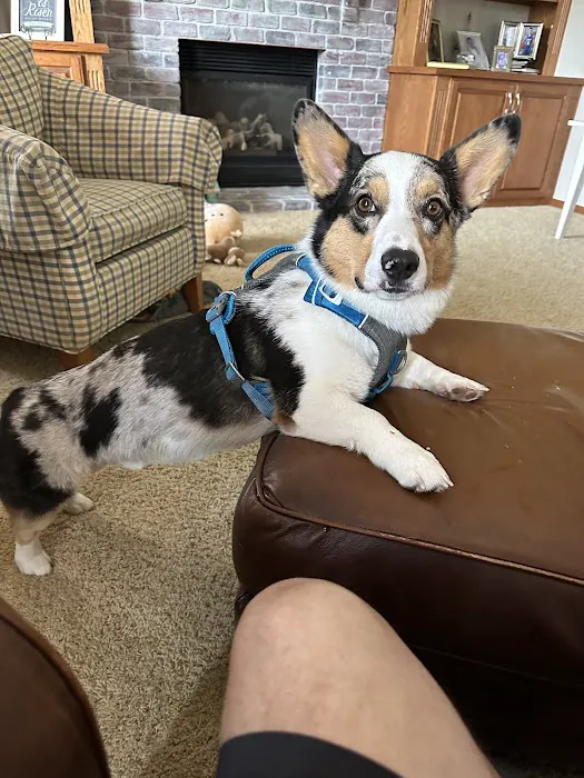 Dr. James Himmelberg, DVM Picture 2