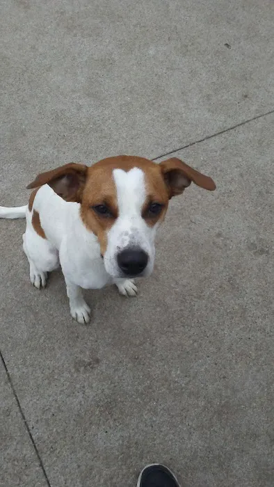 Dr. James Himmelberg, DVM Picture 4