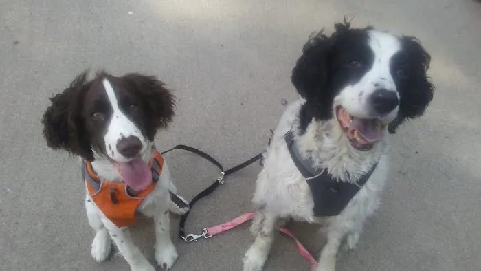 Dr. James Himmelberg, DVM Picture 5