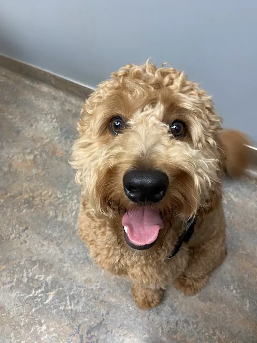 Dr. James Himmelberg, DVM Picture 9