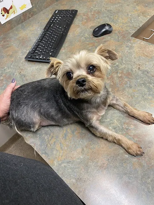 Dr. James Himmelberg, DVM Picture 6